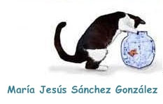 Comportamiento Felino